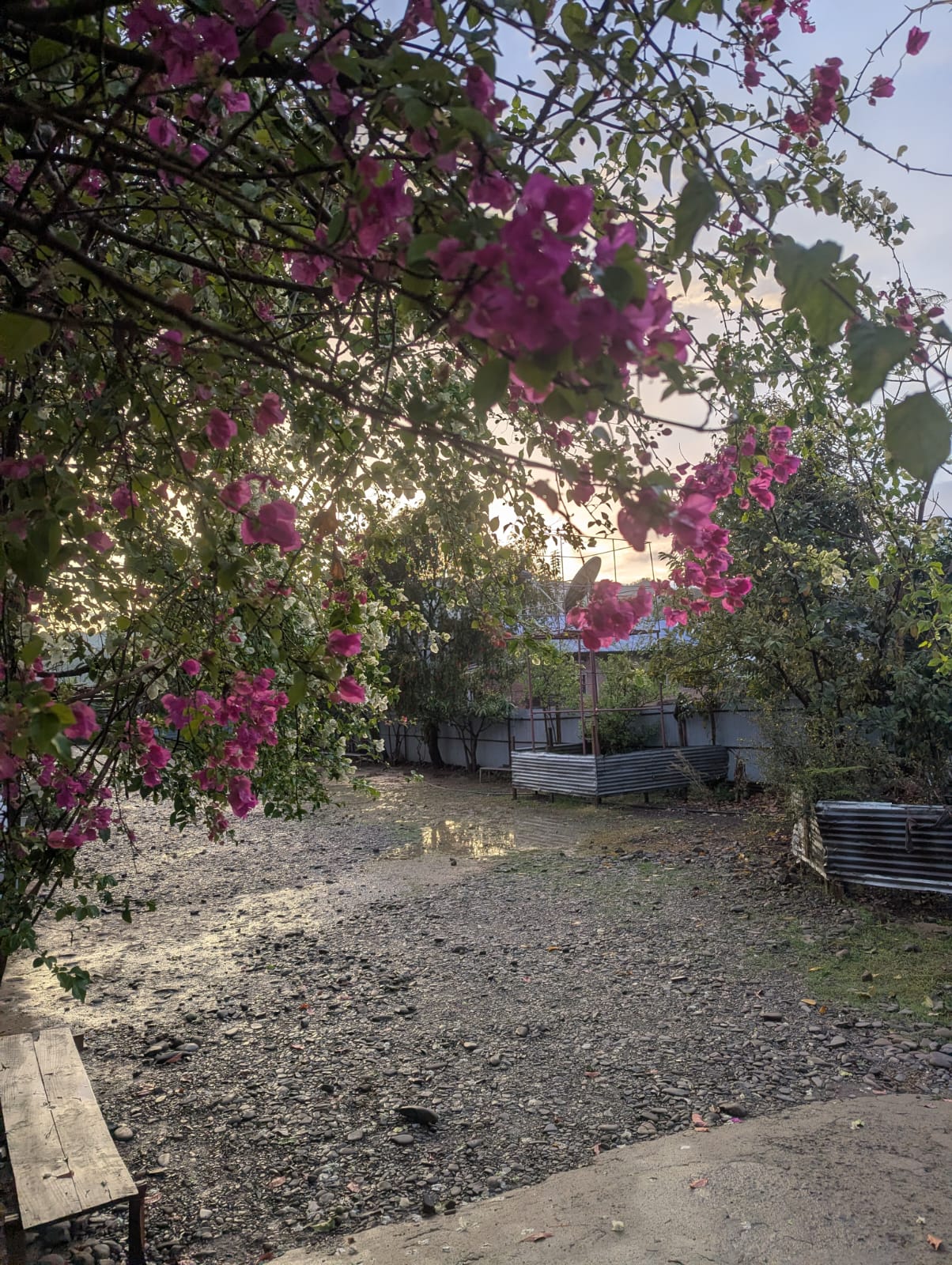 School Campus